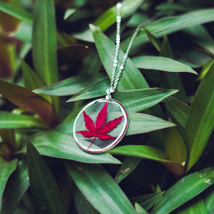Falling Leaf Radiance